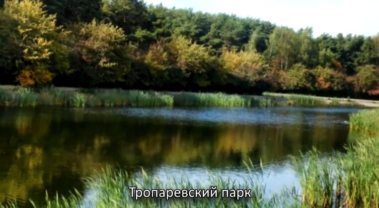 Бауцентр новороссийск режим работы в новогодние праздники