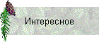 Интересное