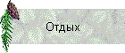 Отдых