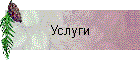 Услуги